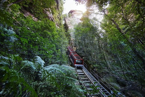 Private All Blue Mountains Day Tour - Tourism Caloundra 3