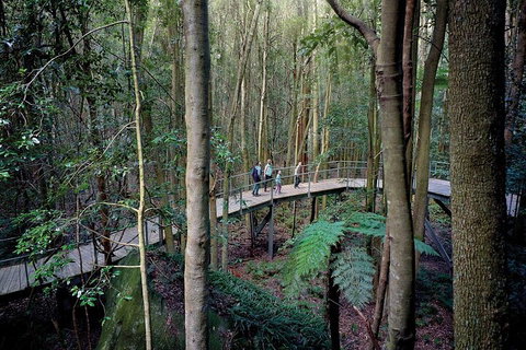 Private All Blue Mountains Day Tour - Tourism Caloundra 4