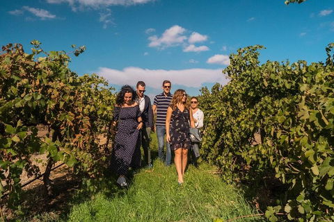 Barossa Valley Private Tour (from 2 To 11 People) - Tourism Caloundra 0