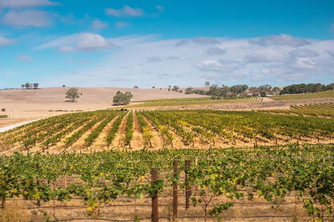 Barossa Valley Private Tour (from 2 To 11 People) - Tourism Caloundra 2