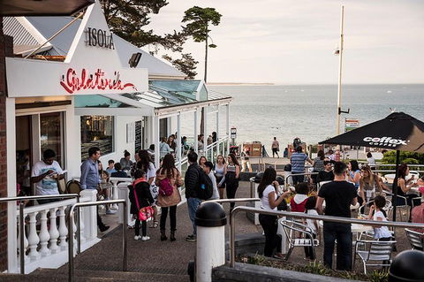 Phillip Island And French Island Wildlife Expedition - Tourism Caloundra 0