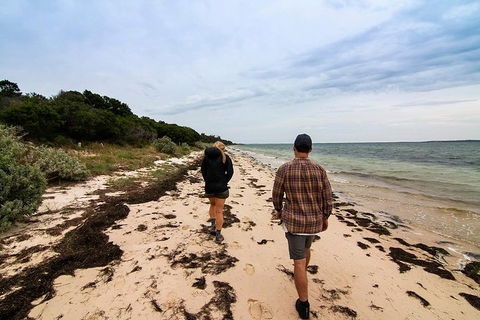 Phillip Island And French Island Wildlife Expedition - Tourism Caloundra 1