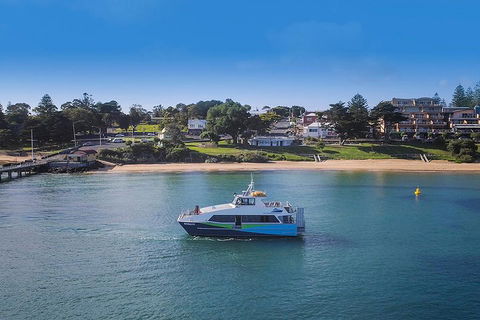 Phillip Island And French Island Wildlife Expedition - Tourism Caloundra 2