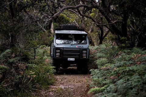 Phillip Island And French Island Wildlife Expedition - Tourism Caloundra 4