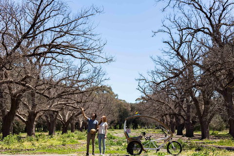 Adelaide 90-Minute Pedicab Tour: Scenic Green & River Experience - Tourism Caloundra 1