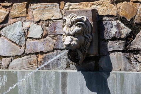 Adelaide 90-Minute Pedicab Tour: Scenic Green & River Experience - Tourism Caloundra 3