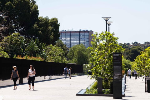 Adelaide 90-Minute Pedicab Tour: Scenic Green & River Experience - Tourism Caloundra 4