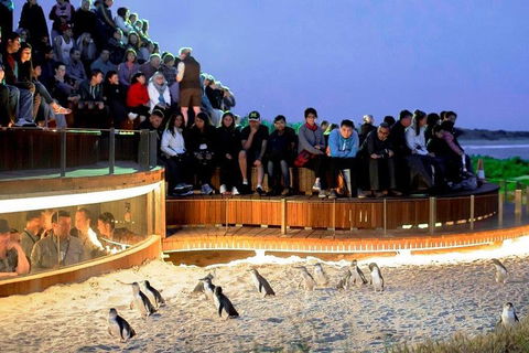 Private Phillip Island Tour - Tourism Caloundra 3