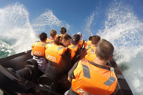 Noosa Thriller - 500hp Ocean Adventure Ride - Tourism Caloundra 4