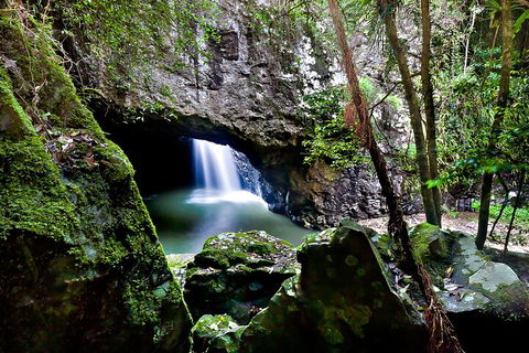 Natural Bridge & Springbrook Waterfalls Tour + Hot Air Balloon With Breakfast - Tourism Caloundra 4