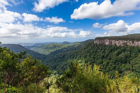 Natural Bridge & Springbrook Waterfalls Tour - Tourism Caloundra 1