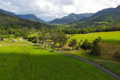 Natural Bridge & Springbrook Waterfalls Tour - Tourism Caloundra 2