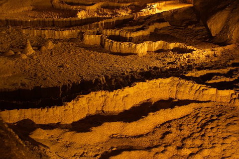 The Explorers' Discovery Tour - Gold, Wine & Wildlife - Tourism Caloundra 0