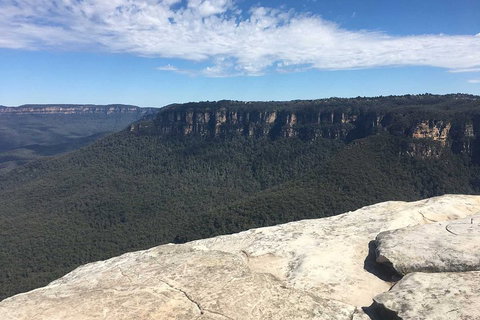 The Explorers' Discovery Tour - Gold, Wine & Wildlife - Tourism Caloundra 1