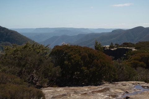 The Explorers' Discovery Tour - Gold, Wine & Wildlife - Tourism Caloundra 3