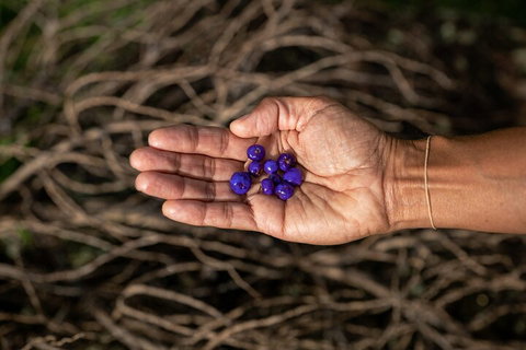 Cape Byron Aboriginal Tour - Tourism Caloundra 0