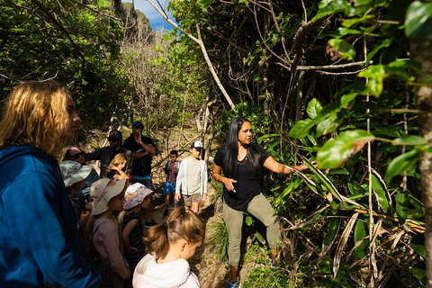 Cape Byron Aboriginal Tour - Tourism Caloundra 4