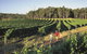 Margaret River, Caves, Wine And Cape Leeuwin Lighthouse Tour From Perth - thumb 1