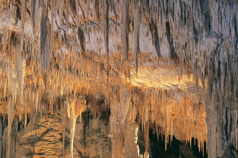 Margaret River, Caves, Wine And Cape Leeuwin Lighthouse Tour From Perth - Tourism Caloundra 3