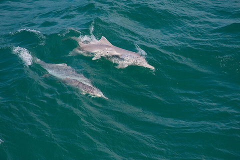 North Stradbroke Island Private Tour With Pickup - Tourism Caloundra 0