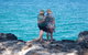 North Stradbroke Island Private Tour With Pickup - thumb 4