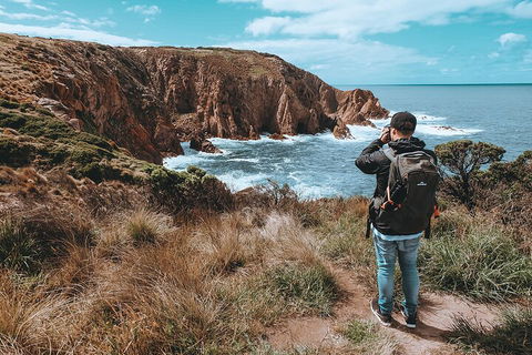 Private Phillip Island & Penguin Parade Hiking Tour From Melbourne - Tourism Caloundra 5