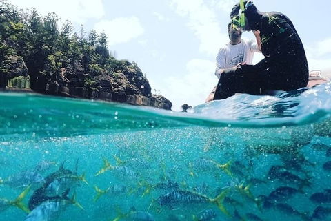 2 Night Small Group Whitsundays Sailing Adventure Aboard Mandrake - Tourism Caloundra 5