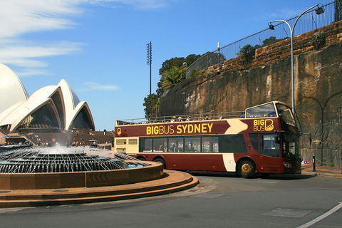 Big Bus Sydney And Bondi Hop-on Hop-off Tour - Tourism Caloundra 3