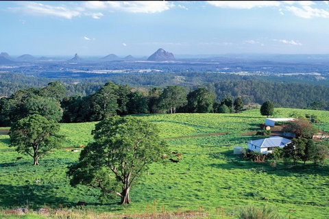 Full Day Sunshine Coast Hinterland Luxury Small Group Tour From Brisbane - Tourism Caloundra 2