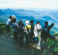 Springbrook National Park  Gold Coast Full Day Luxury Tour from Brisbane - Tourism Caloundra