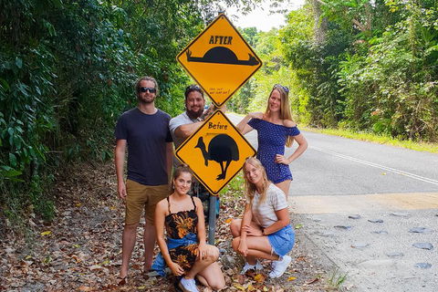 Cape Tribulation, Daintree Rainforest And Wildlife Tour - Tourism Caloundra 0