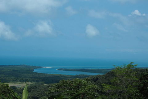 Cape Tribulation, Daintree Rainforest And Wildlife Tour - Tourism Caloundra 1