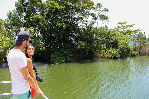 Cape Tribulation, Daintree Rainforest And Wildlife Tour - Tourism Caloundra 2