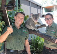 Virtual Interactive Australian Wildlife Tour With Private Guide-Wildlife Habitat - Tourism Caloundra