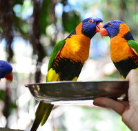 Wildlife Habitat Port Douglas - Tourism Caloundra
