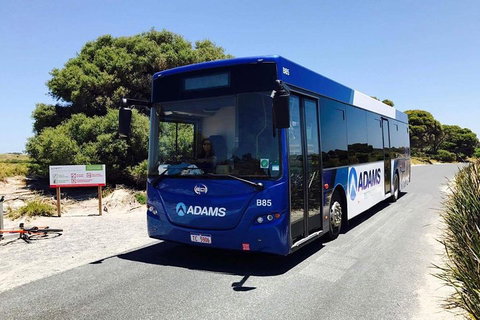 Rottnest Bayseeker Bus Tour From Hillarys Boat Harbour - Tourism Caloundra 0
