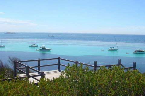 Rottnest Bayseeker Bus Tour From Hillarys Boat Harbour - Tourism Caloundra 3
