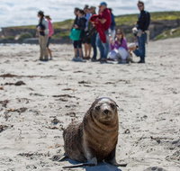 Kangaroo Island in a Day Tour from Adelaide - Tourism Caloundra