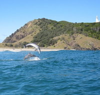 Kayaking with Dolphins in Byron Bay Guided Tour - Tourism Caloundra