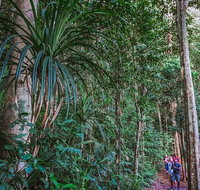 Atherton Tablelands Rain Forest by Night from Cairns - Tourism Caloundra