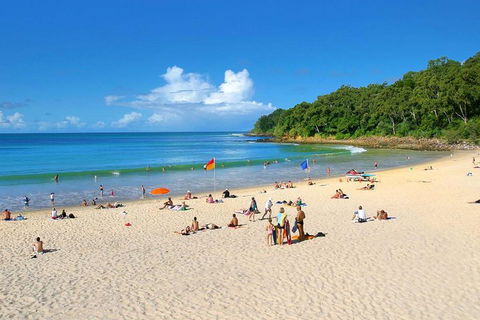 Noosa Everglades Serenity Cruise & Highlights Tour Inc. Lunch & Cruise - Tourism Caloundra 4