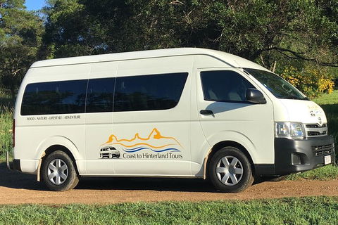 Noosa Everglades Serenity Cruise & Highlights Tour Inc. Lunch & Cruise - Tourism Caloundra 5