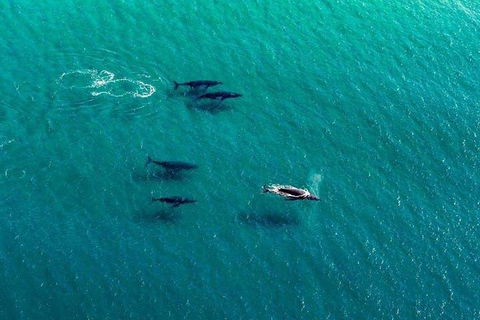 40-45 Minute Port Stephens And Stockton Beach Helicopter Flight - For 2 - Tourism Caloundra 0