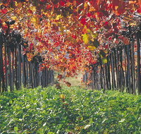 Margaret River Private Tour - Tourism Caloundra