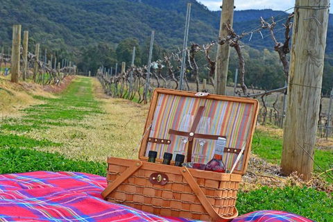 Private Hunter Valley And Gardens Day Trip From Sydney - Tourism Caloundra 2