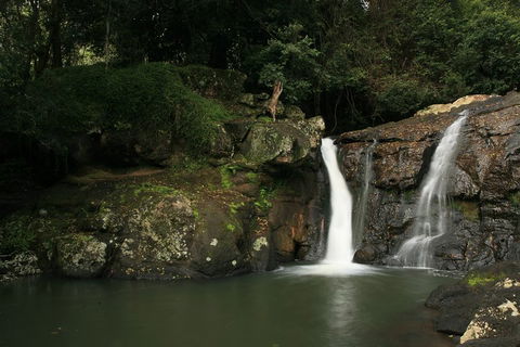 Hinterland Magic & Glow-worm Experience - Tourism Caloundra 2