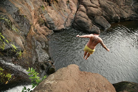 Hinterland Magic & Glow-worm Experience - Tourism Caloundra 3