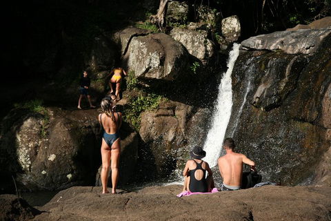 Hinterland Magic & Glow-worm Experience - Tourism Caloundra 5