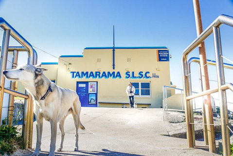 Smartphone & Camera Photography Basics - Tourism Caloundra 5