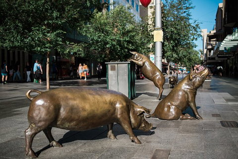 Guided Walking Tour In Adelaide - Tourism Caloundra 4